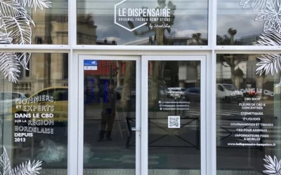Vitrophanie à Aubagne : adhésive et décorative